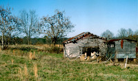 Alabama 1990s