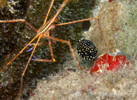 St Croix-2