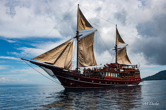 Indonesia 2019 V2-82