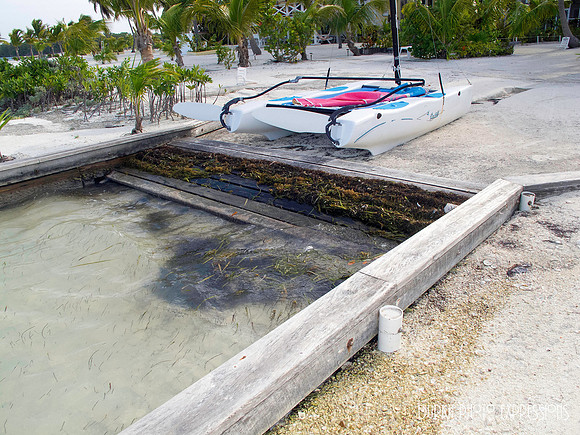 The Kayak Launch