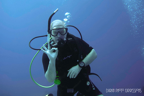 Fellow Diver