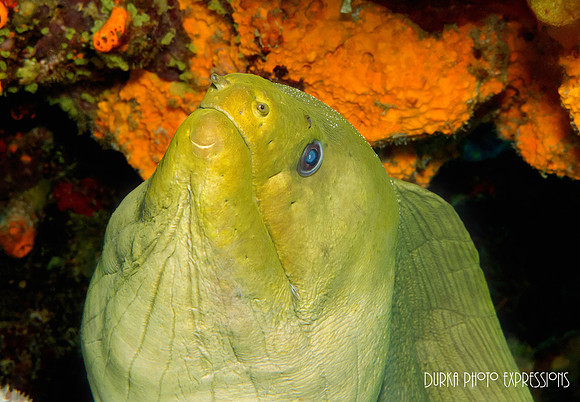Cozumel 2012 -5