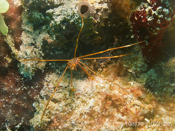 Cozumel 2012 -34