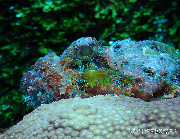 Cozumel 2012 -26