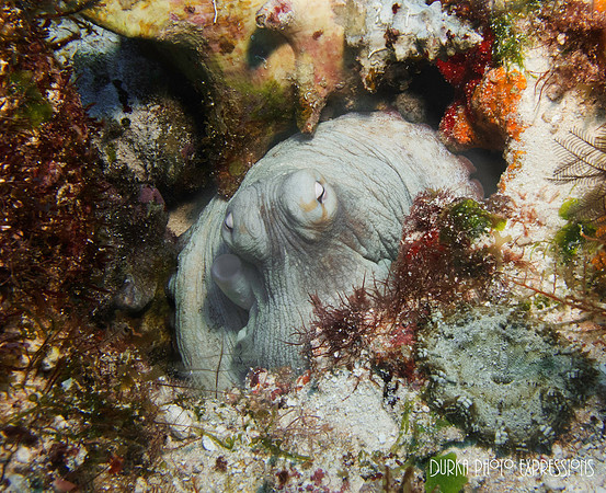 Cozumel 2012 -28