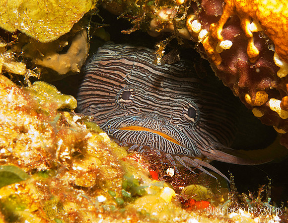 Cozumel 2012 -11