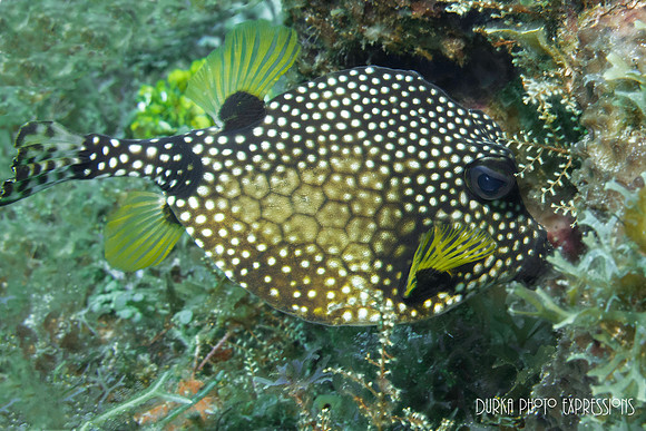 Cozumel 2012 -18