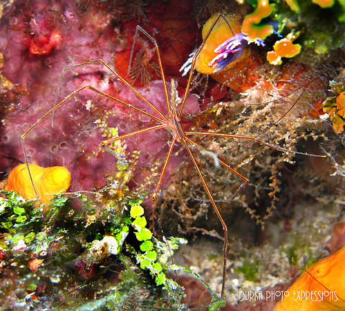 Cozumel 2012 -23